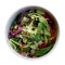 Fresh Green Leafy Salad With Lemon Dressing