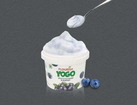 Blueberry Yogurt (90 Gms)