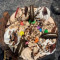 Oreo Cookie Blizzard Cake [800 Gm]