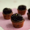 Belgian Chocolate Cupcakes