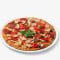 Medium Double Layer Four Seasons Special Pizza
