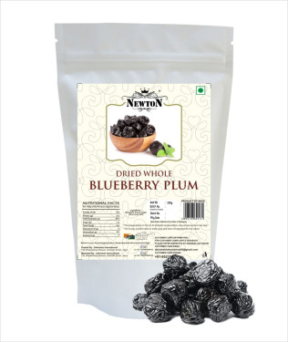 Newton Blueberry Plum