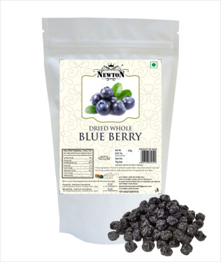 Newton Blueberry