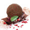 Black Forest Ice Cream (95 Gms)