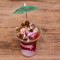 Strawberry Special Sundae's Ice Cream