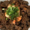 Beef rice bowl (gyudon)