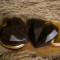 Heart Shape Chocolate Cakesickles [2 Piece]