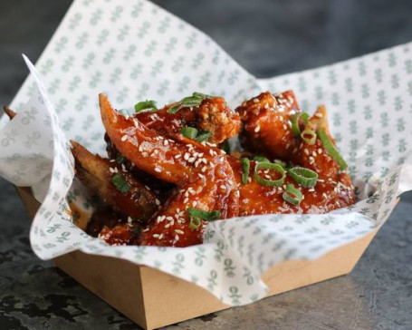 Fritzen Korean Wings