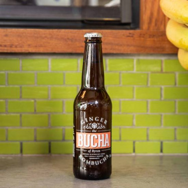 Kombucha Ginger Beer