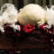 Raspberry Chocolate Brownie