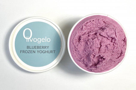 Blueberry Frozen Yoghurt Tub (Small