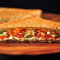 Tandoori (sauce) Mix Veg Sandwich