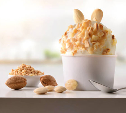 Special Dry Fruits Ice Cream (90 Gms)