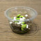 Mini salade : Lentilles vertes, guacamole, mozzarella