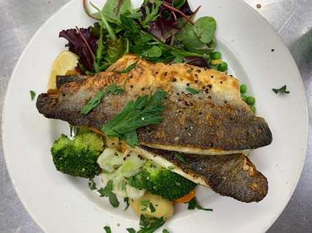 Grilled Sea Bass Caught In English Channel