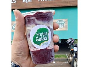 Camadinha Frutos (Açaí Tradicional) 300Ml *Congelado*