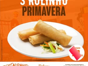 3X Rolinho Primavera