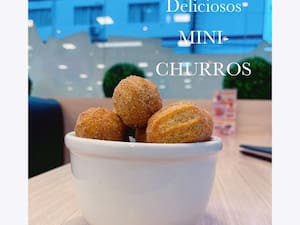 14 Mini Churros