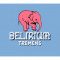 5. Delirium Tremens