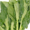 32. Jiè Lán Chinese Broccoli