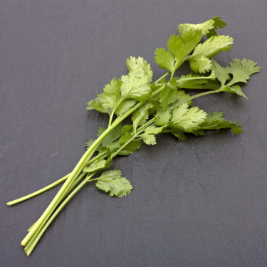 Coriander Bunch