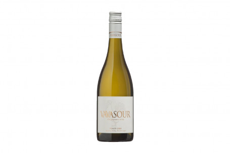 Vavasour Pinot Gris