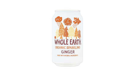 Whole Earth Sparkling Ginger