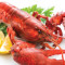 Lobster (Live Lobster) 1.25Lb