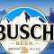 Busch Beer Pack Of 30