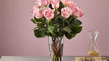 12 Long Stem Pink Roses