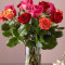 12 Mixed Rose Bouquet