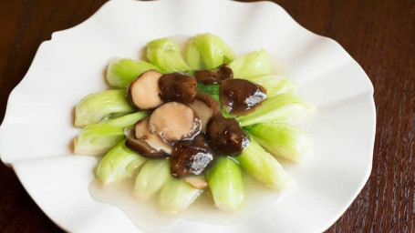 Baby Bok Choy Xiǎo Táng Cài