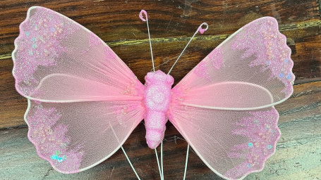 Light Pink Butterfly