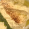 Babaghanoush Hummus With Tortilla Chips (Oil, Zhoug Sauce, Chipotle Powder) (1)