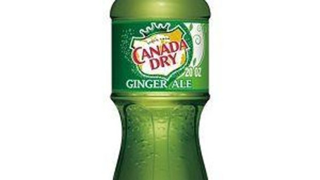 Canadian Dry Ginger Ale Bottle (20 Oz)
