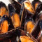 Black Mussels (Lb)