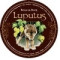 13. Lupulus Brune