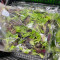 Baby Salad Leaves 150G