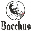 Cerveja Bacchus Framboesa