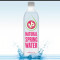 16 Handles Water (16.9Oz)