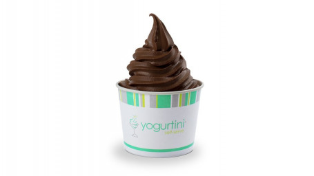 Dutch Chocolate Froyo