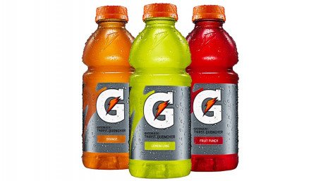 Garrafa Gatorade 20 Onças