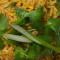 #37. Fried Rice (Khao Phad Pak)