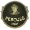 Hercule Stout