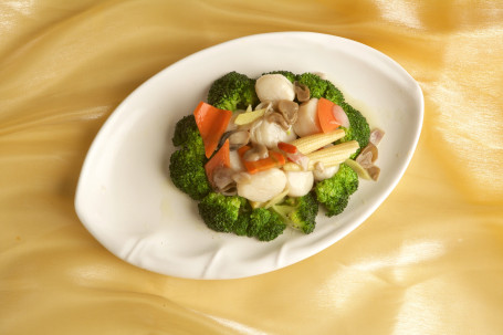 Shí Cài Dài Zi Quick Fried Scallop With Seasonal Green