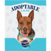 5. Adoptable Lager