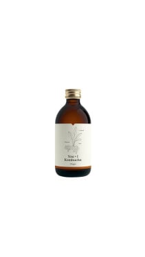 You I Kombucha Ginger 330Ml