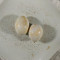 Boiled Eggs(2)