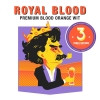 4. Royal Blood