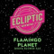 9. Flamingo Planet Guava Blonde Ale